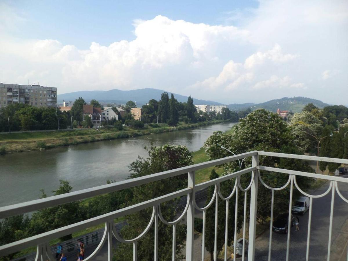 Apartments Domovik Просторная Квартира С Видом На Горы Mukacheve Ngoại thất bức ảnh