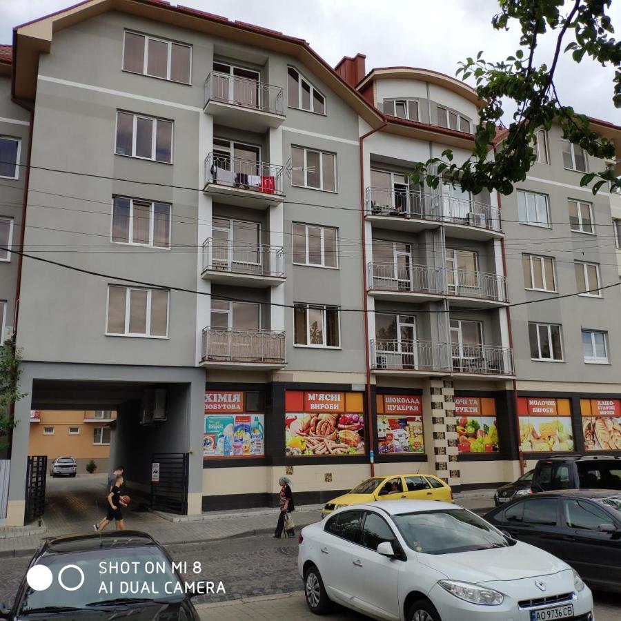 Apartments Domovik Просторная Квартира С Видом На Горы Mukacheve Ngoại thất bức ảnh